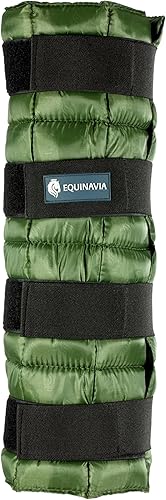 Equinavia Cool Relief Therapy - Botas de hielo para caballos, paquete de gel con correas ajustables, 16.5 x 15.5 pulgadas, individual, color verde,