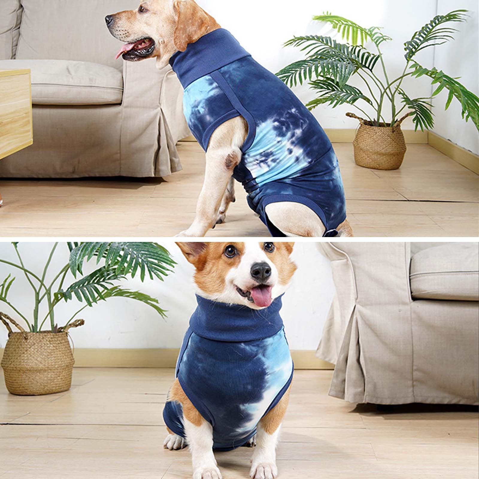 Tuta Post-Operatoria Per Cani - Alternative Al Collare Elisabetta, Protezione Ferite Addominali, Taglie S/M/L - Foto 7