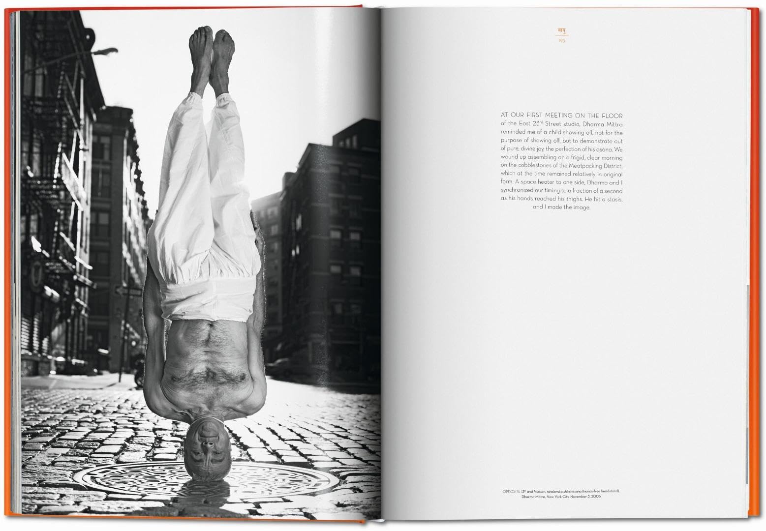 Sullo yoga. L'architettura della pace. Ediz. italiana: Fo