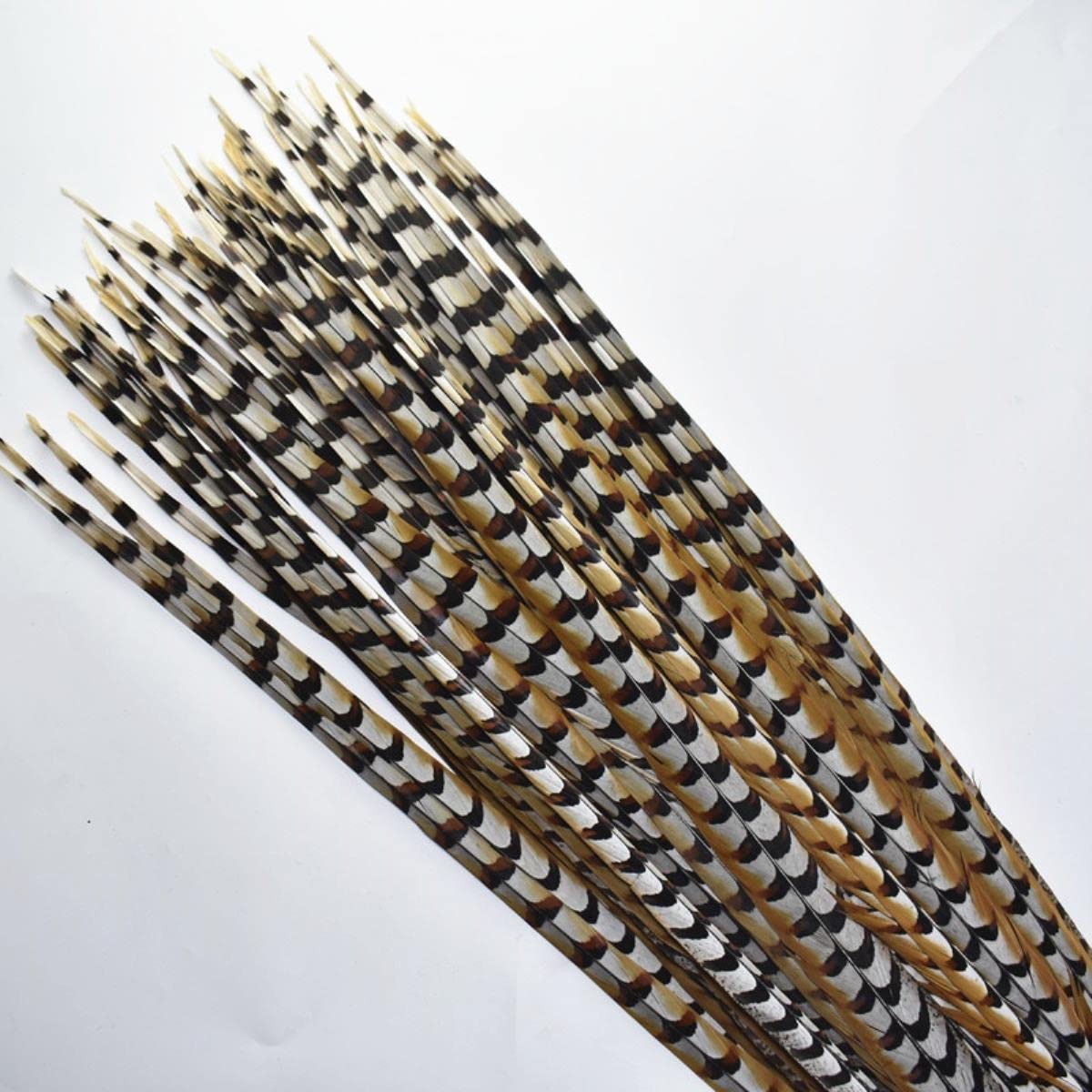 Piume di coda di fagiano lunghe 10-180 cm naturali per artigianato piume di fagiano decorazione accessori di carnevale-160-170 cm 163-172,7 cm, 10 pezzi