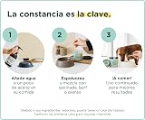 Ver la foto 6