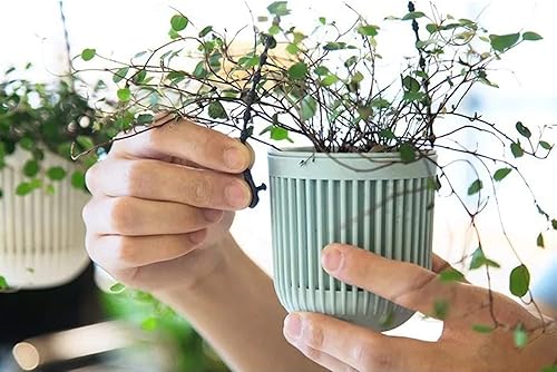 Miniatura 2 de Melphoe Macetas para suculentas de dos piezas de 3.5 pulgadas con drenaje, mango extraíble flexible, macetas para plantas pequeñas, maceta colgante