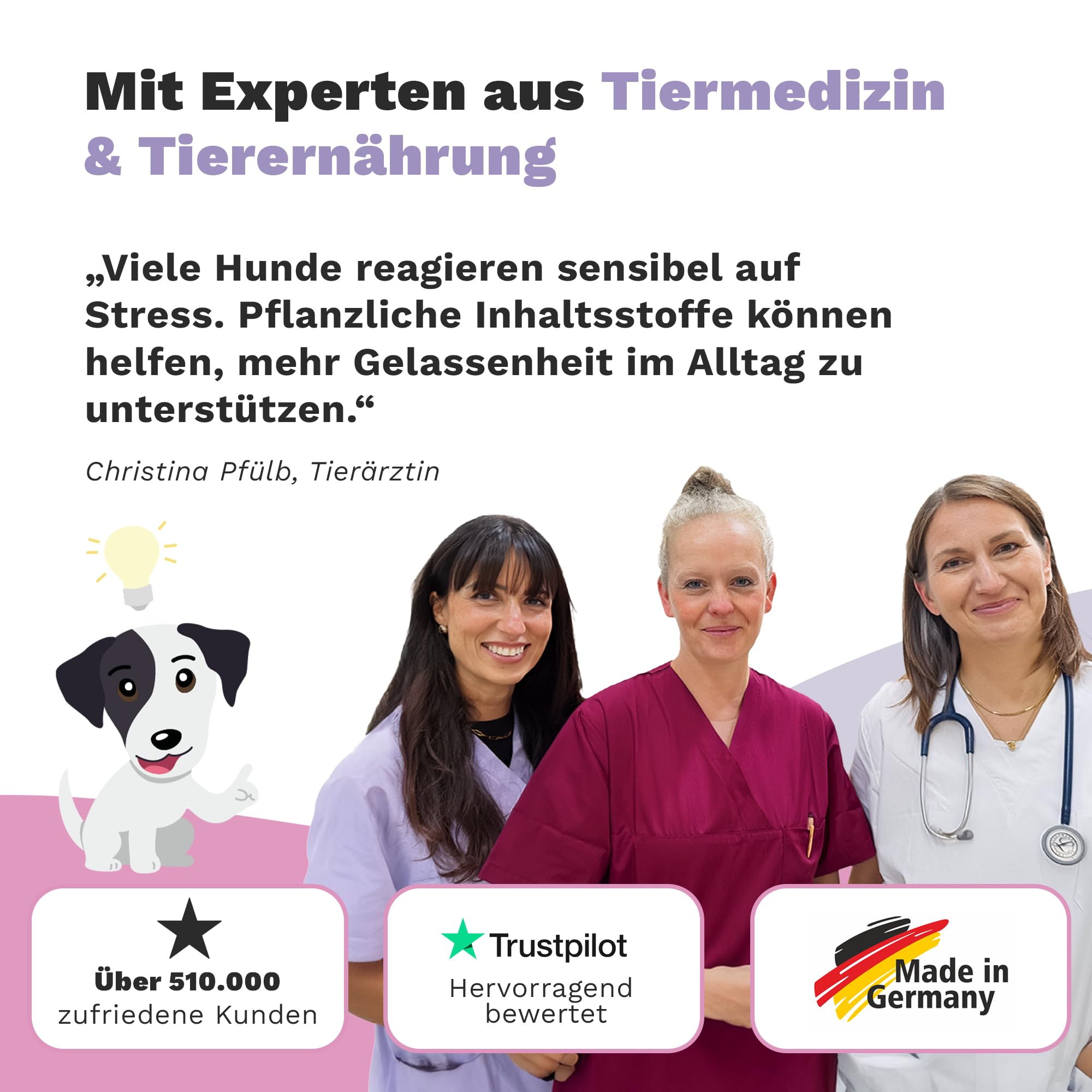 SPARSET - Zeckenschutz Hund Z-Spot mit Geraniol – Pflanzliches Zeckenmittel für Hunde tierärztlich entwickelt + Chillout Drops Beruhigungsmittel für Hunde – Natürliche Beruhigung Hund mit Baldrian