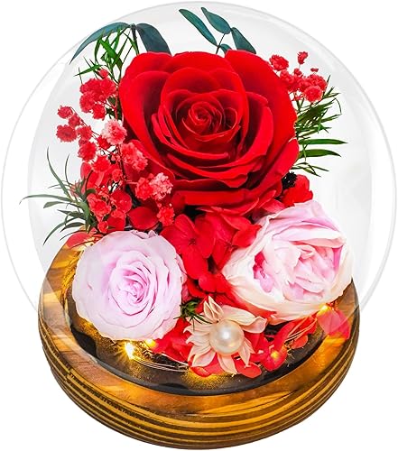 Miniatura 10 de Flores preservadas para mamá – Rosas rosadas preservadas en cúpula de cristal con luz LED para novia, flores reales eternas para mujeres, regalo
