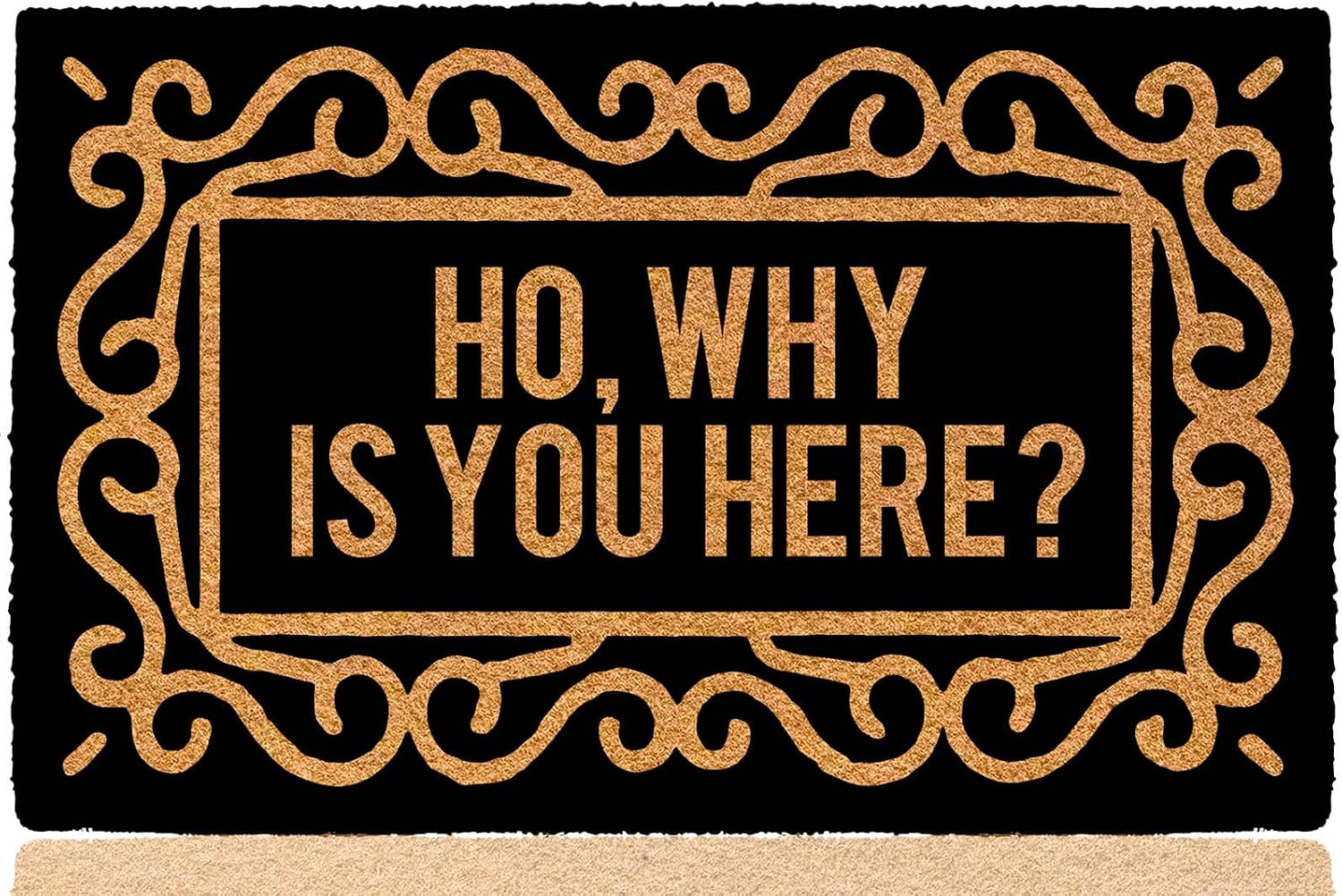 Ho Why is You Here 30"x18" Door Mats Inside Indoor Non Slip for Outside Funny Holiday Doormats for Outdoor Entrance Home Front Door Entry Rugs for Entryway with Rubber Backing