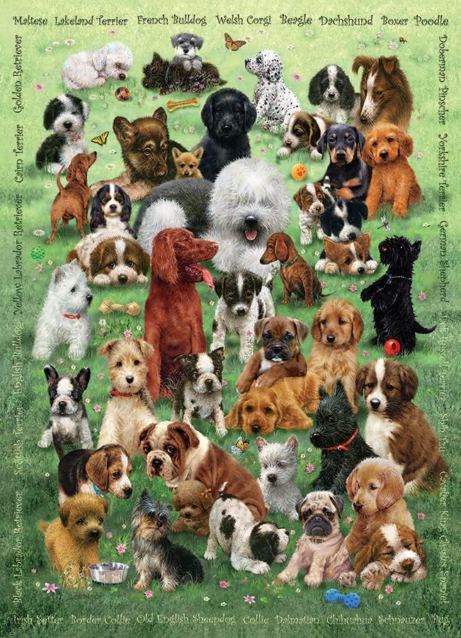Cobble Hill Family Piece's 350 Puzzle - Puppy Love - Muestra de póster incluido