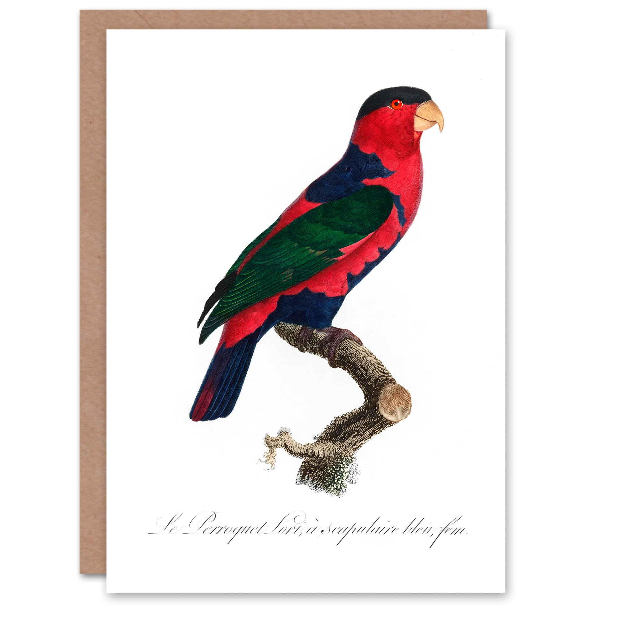Artery8 Francois Levaillant Art Card The Black Capped Lory Parrot