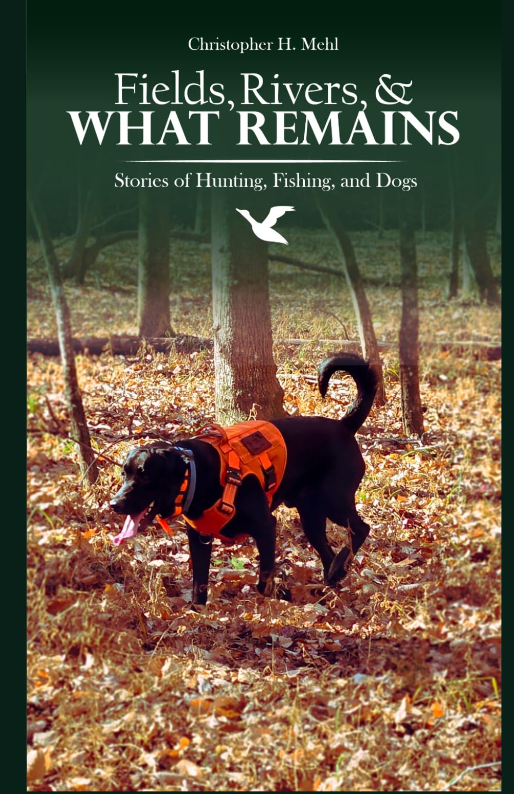 Fields, Rivers, and What Remains: Stories of Hunting, Fishing, and Dogs