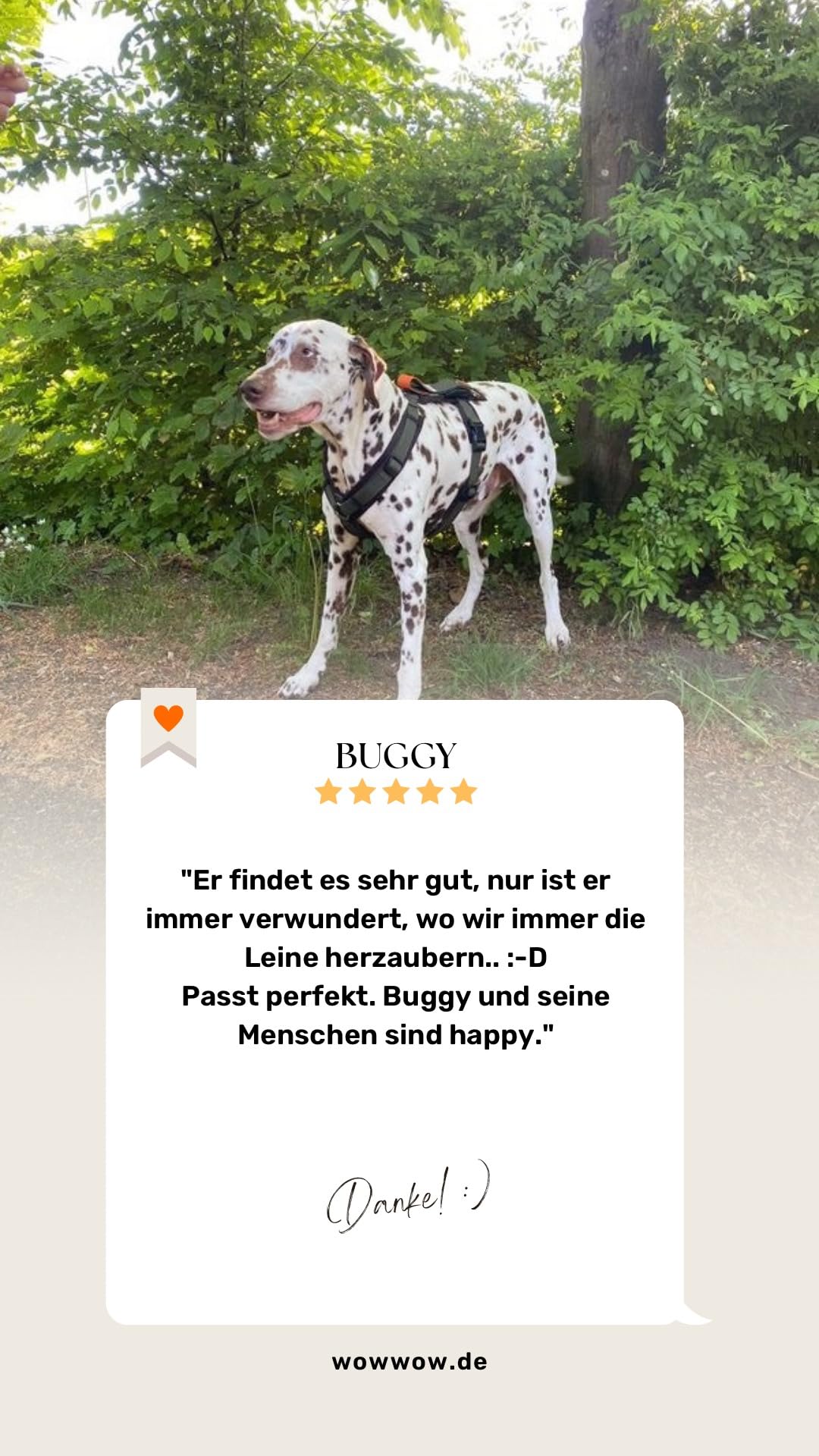 Pettorina per cani (Kaki, Small)