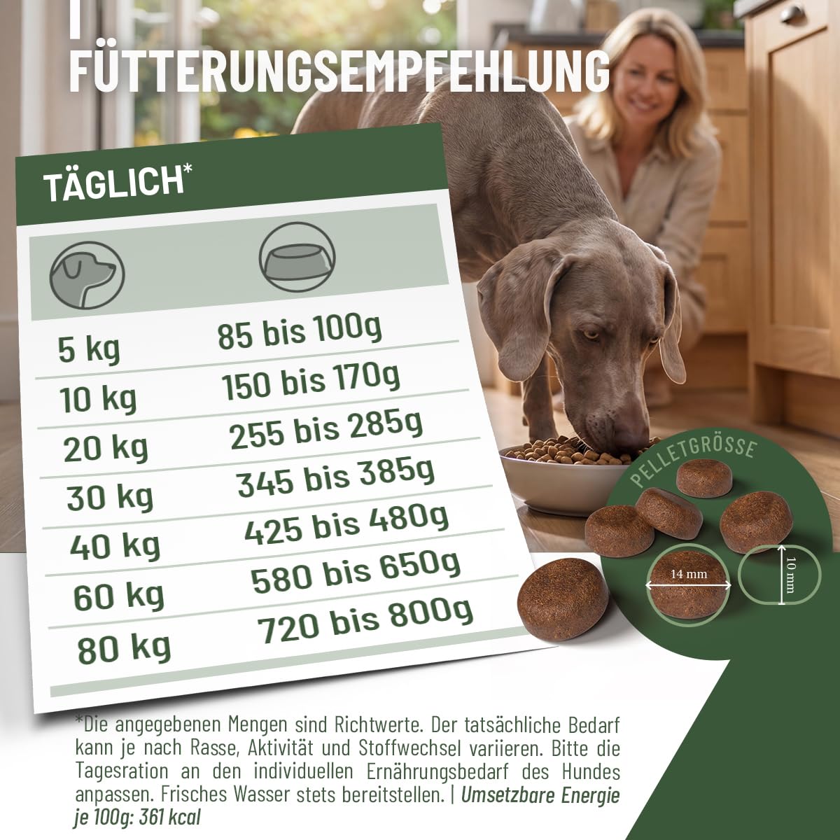 REAVET HYPOCONCEPT Hundetrockenfutter Pferd – Single-Protein Rezeptur 12,5kg I Getreidefrei & ohne Zucker Trockenfutter für alle Hunde & Rassen, auch für Sensible Hunde & Allergikerfreundlich