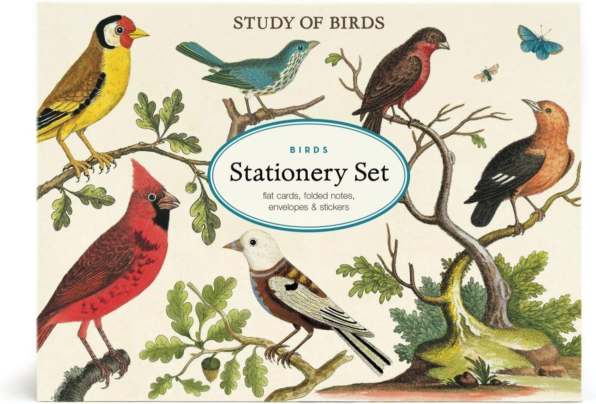 Cavallini Papers & Co. Birds Stationery Set