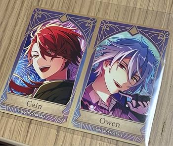 Amazon.co.jp: まほやく 特典カード カイン&オーエン : おもちゃ