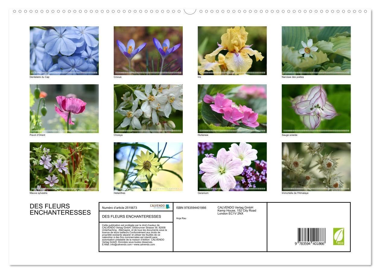 DES FLEURS ENCHANTERESSES (Calendrier mural haut de gamme 2027 DIN A2 vertical), CALVENDO calendrier mensuel: Découvrez la beauté de la nature avec ces gros plans floraux uniques.