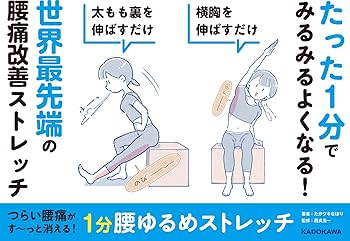 腰痛改善 ストレッチ DVD 福辻式 腰痛改善ストレッチDVD おまけDVDつき