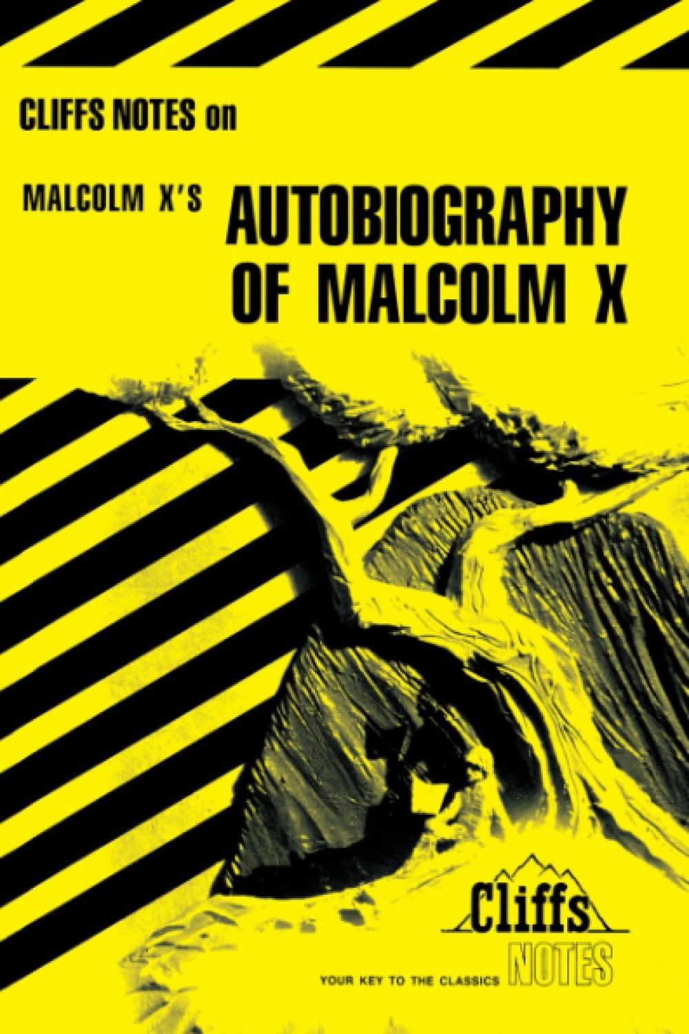 Autobiography of Malcolm X (Cliffs Notes)