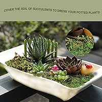 Vista 5 de Musgo falso de 19 onzas para plantas en maceta, musgo artificial para manualidades, musgo verde sintético para plantas falsas decorativas