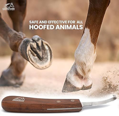 Miniatura 9 de Equine Care Cuchillo de pezuña para zurdos  Hoja de acero corta J2 afilada, herramienta profesional para recortar pezuñas de caballo, cabras, ovejas
