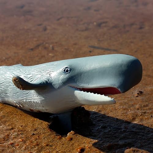 Miniatura 4 de Safari Ltd. Figura de ballena espermática – Figura detallada de modelo de plástico de 8.5 pulgadas – Divertido juguete educativo para niños, niñas y