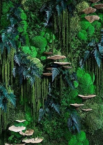 Myvegetal kit Mur végétal stabilisé Champignon - Plantes et décoration Murale d'intérieur, sans entretiens , Plantes et Fleurs éternel Made in France , réalisez Votre Mur végétal ., 1m²