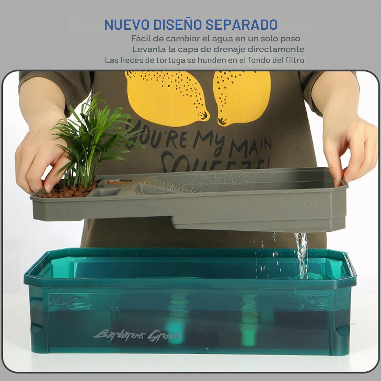Terrario Tortugas de Tierra | Terrario Reptiles y Anfibios | Acuario Tortuga Set Completo con Filtro de Agua para Ducha | Tanque para Hibernación de Tortugas | Fácil de Cambiar y Limpiar(Green Without