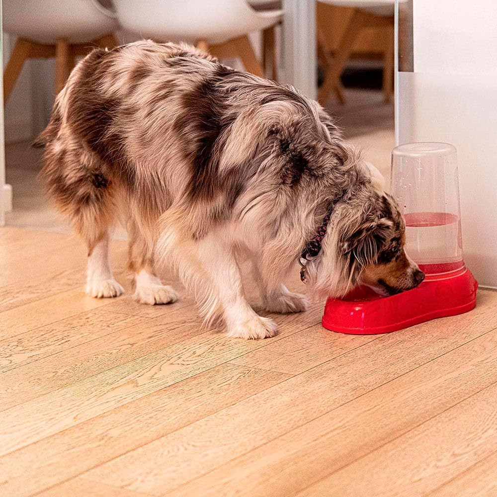 Ferplast Dispensador de Comida o Agua para Perro Comedero para Agua y Comida Seca 3 litros, Fondo Antideslizante, 20 x 33,5 x h 31 cm Lila