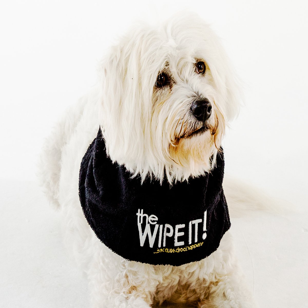 The All New Wipe It! Drool Towel for Dogs (Small)