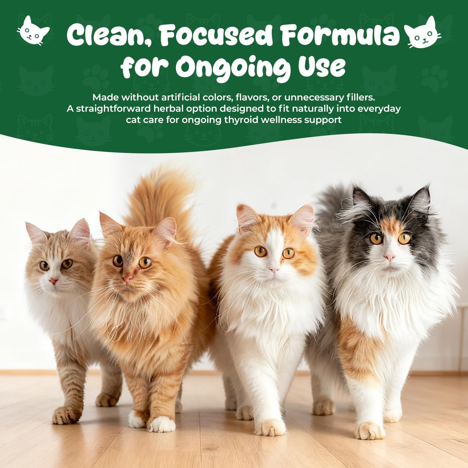 Thyroid Support for Cats, Appetite Stimulant Cat Drops & Weight Gainer, Daily Herbal Drops with Bladderwrack, Astragalus & Nettle Leaf, Supports Metabolism Balance & Everyday Vitality, 2 fl oz