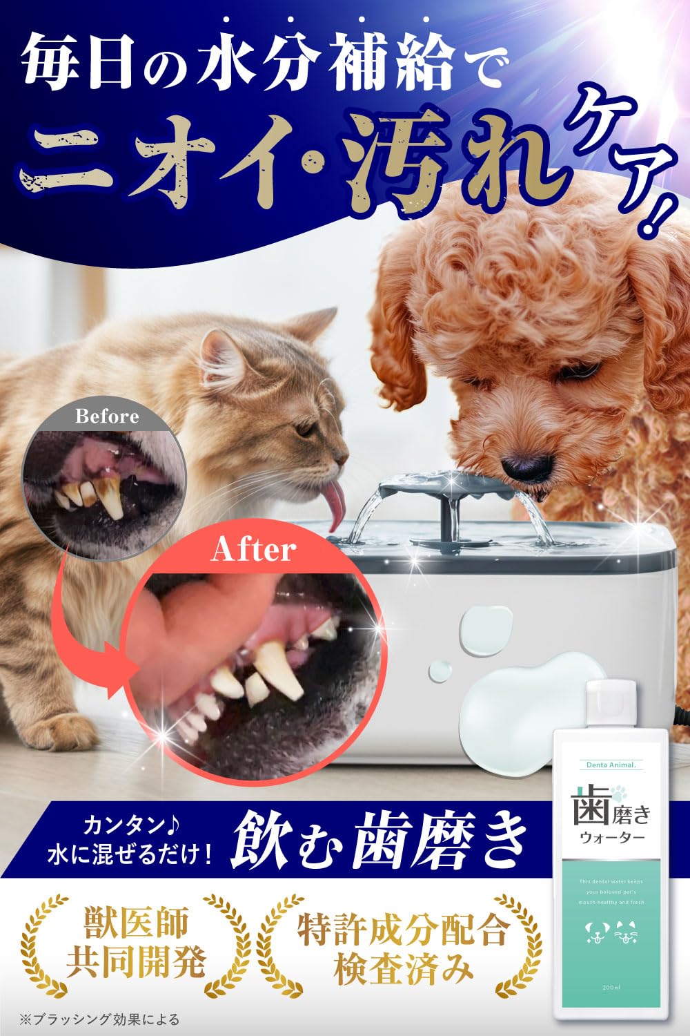 Amazon.co.jp: 【獣医師・薬剤師監修】 デンタアニマル 歯磨き