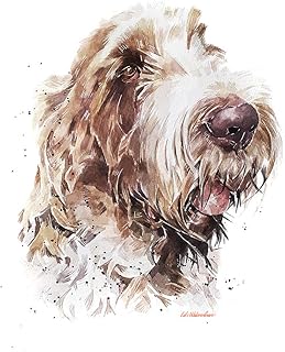 Spinone Regal - Print Watercolour, Spinone art, Spinone print, Black Spinone print, Spinone Wall décor, Spinone Art, Spinone Watercolour Print
