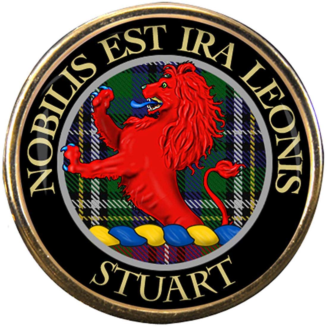 Stuart Scottish Clan Pin Badge