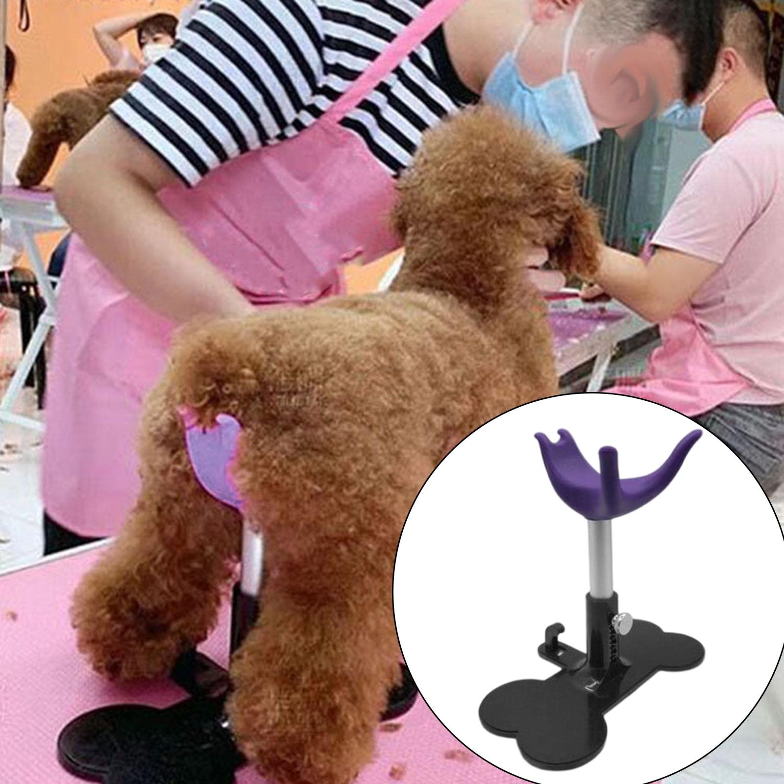 Supporto Regolabile per Toelettatura del Cane con Gel,Viola