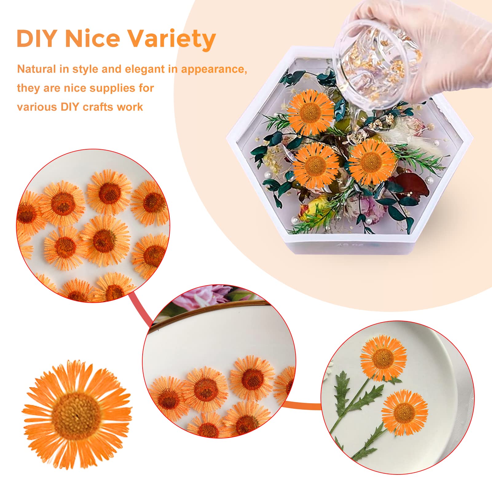 60 Stück getrocknete Blumen für Harz, orangefarbene gepresste trockene Nadel, Chrysanthemen-Blumen für Kerzenherstellung, Schreibtischlampe, Basteln, Schmuck, Handyhüllen, Hausdekoration
