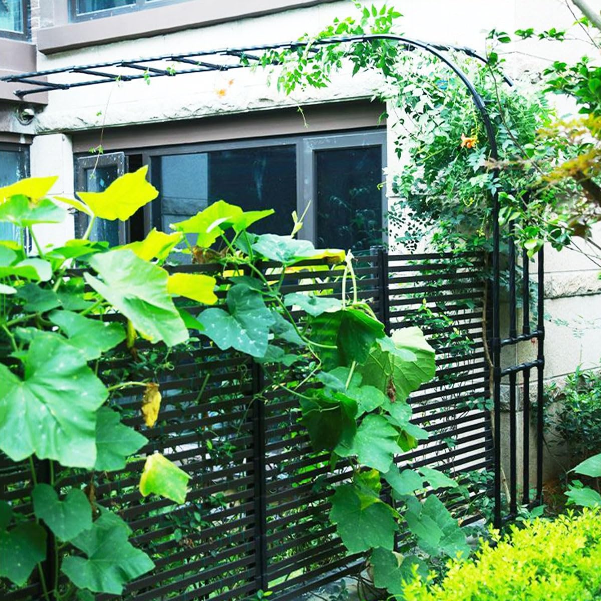 Arco da giardino regolabile in metallo bianco, 60-300 cm di larghezza x 240 cm di altezza, traliccio decorativo per piante rampicanti, pergolato semicircolare da parete, perfetto per giardini e