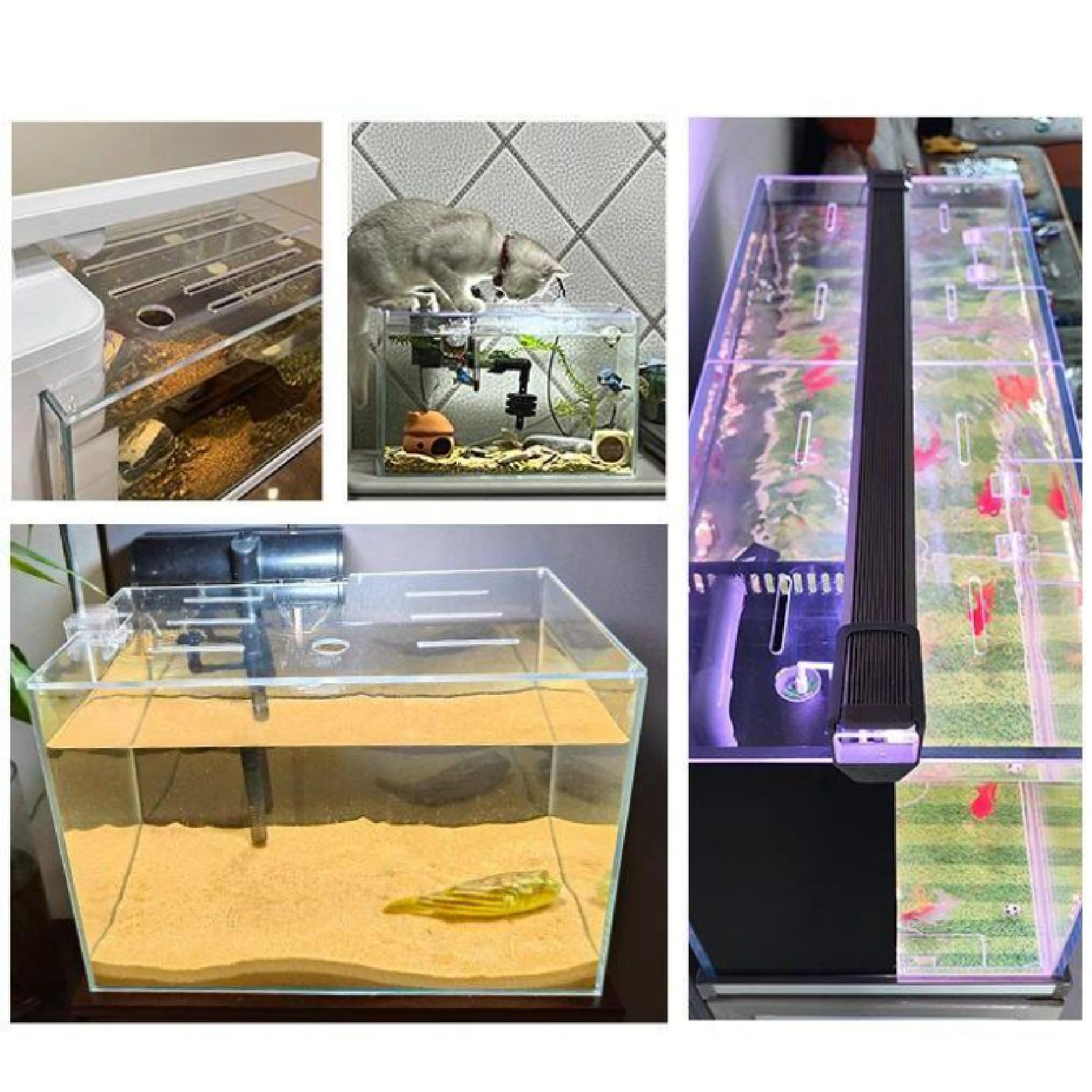 Couvercle d'aquarium en acrylique haute transparence avec trous, alimentation facile, design anti-poussière pour aquariums et aquariums domestiques