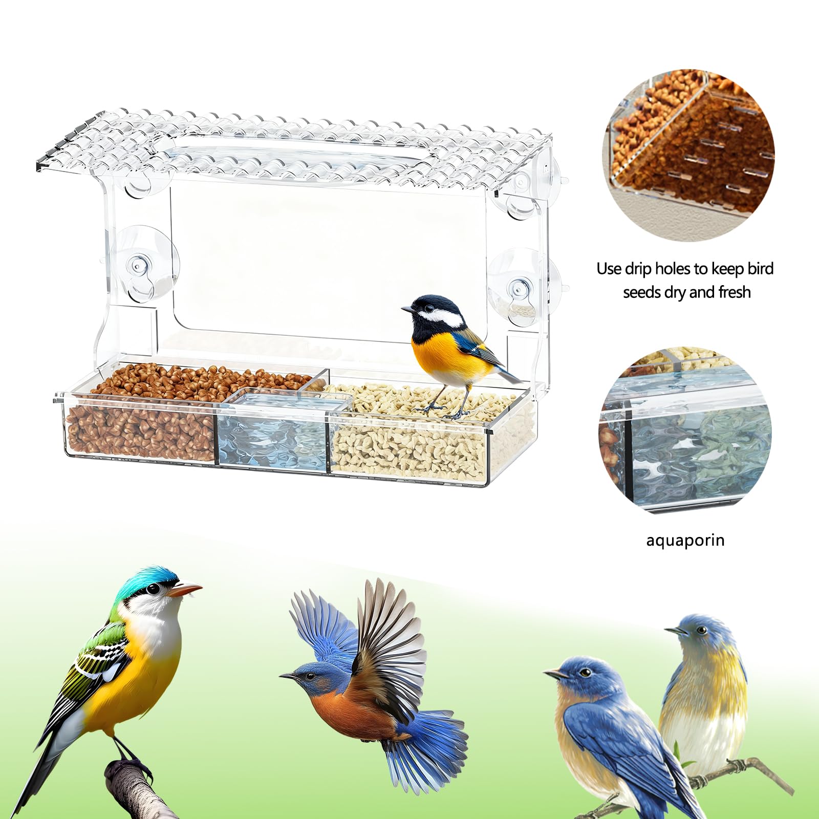 Mangeoire À Oiseaux Transparente, Window Bird Feeder, Ventouses 25*10*16 CM, Amovibles Exterieur