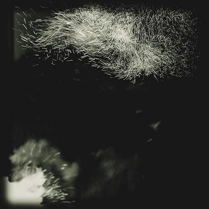 Fall Into The Light / Pilgrim por Fink, capa do álbum