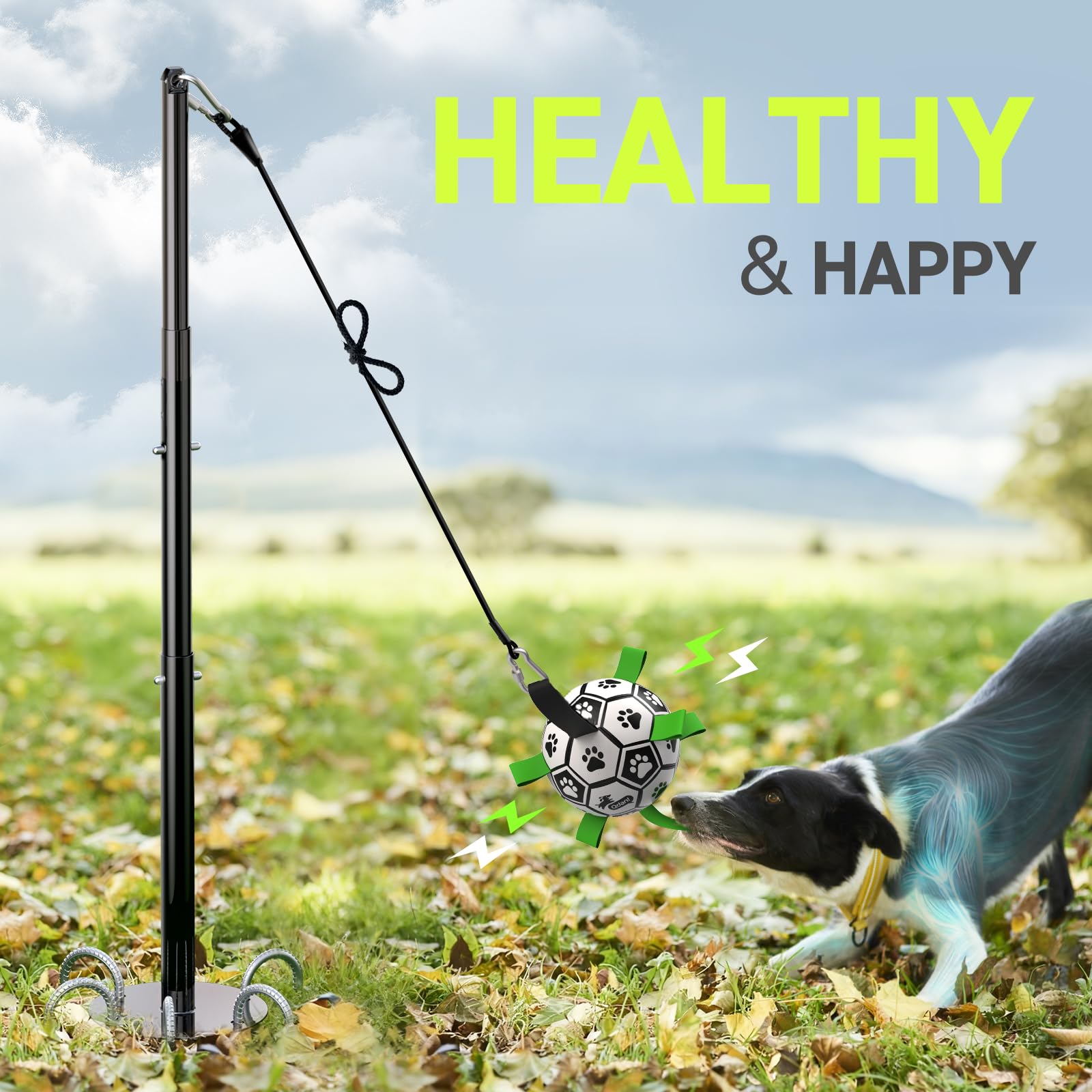 QDAN Tether Tug Jouet d'extérieur pour chien, jouet interactif durable avec poteau réglable, jouet d'extérieur pour chiens, balle de football, jeu personnel et jouet à tirer pour chiens de petite