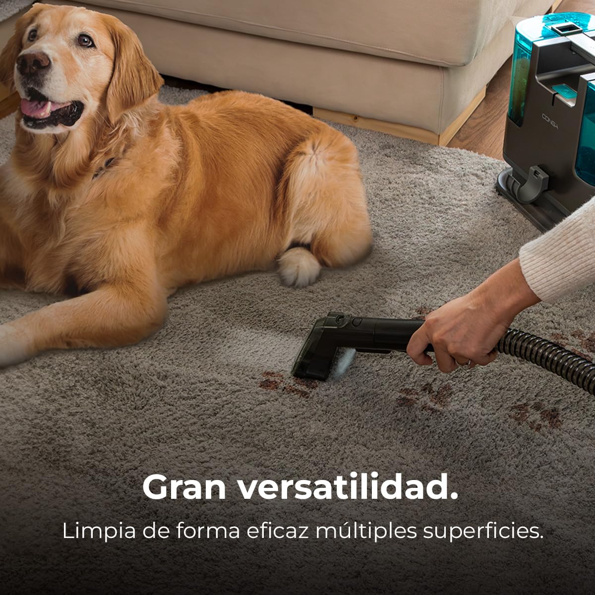 Cecotec Aspirador de Tapicerías Conga Popstar 3000 CarpetClean. 400 W, 2 Depósitos -1 de Agua Limpia y 1 de Sucia-, Pulverizador de Agua, Radio de acción 6 m, Longitud de la Manguera 1,2 m — view 7