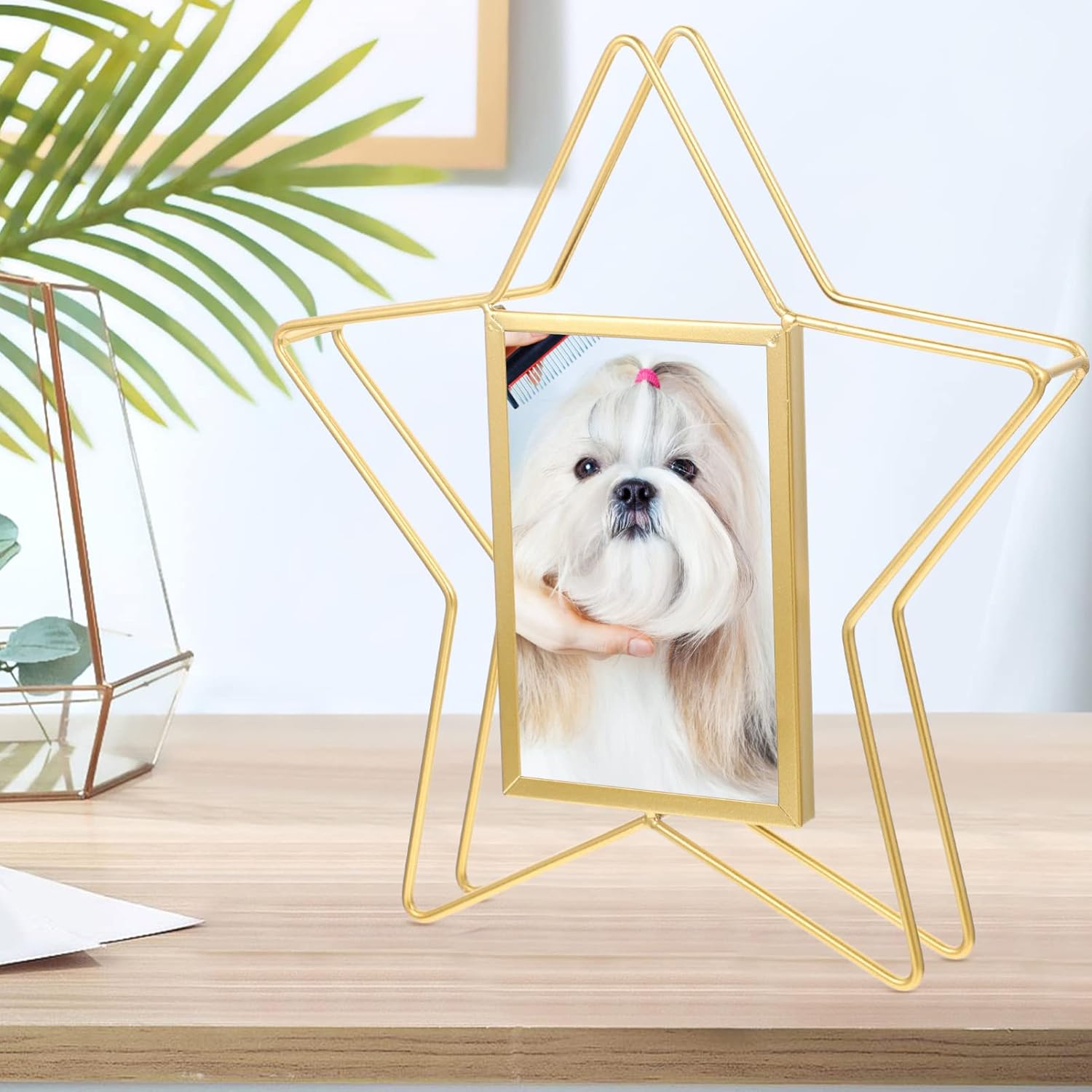 VOSAREA Vertical Photo Frame Star Shape Metal Wire Art Picture Frame Floating Picture Frames Rotatable Picture Display Frame Ideal for Housewarming
