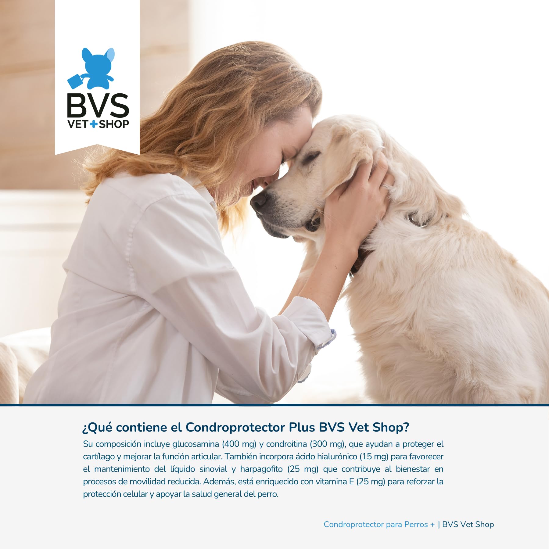 BVS Vet Shop | Condroprotector Plus para Perros | Ayuda para Problemas articulares de tu Mascota | 300 Comprimidos
