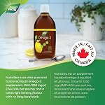 Nature's Way NutraSea Huile de Poisson Oméga 3 Liquide – Saveur Citron Zesty, Non-OGM – Soutien Cardiaque & Cérébral – EPA & DHA, 500 mL