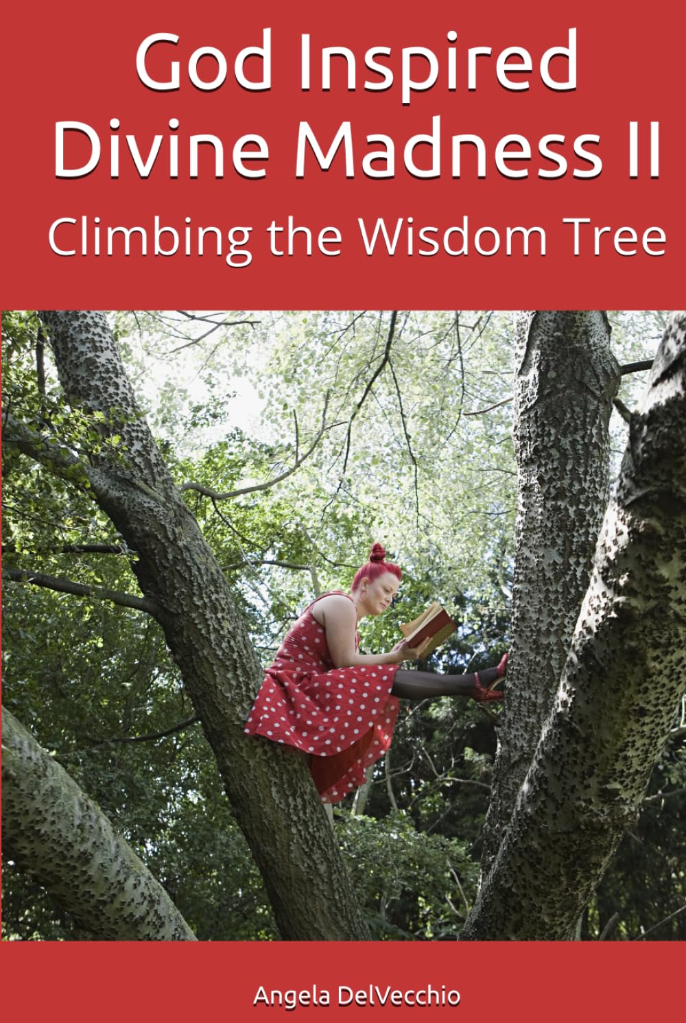 God Inspired Divine Madness II: Climbing the Wisdom Tree