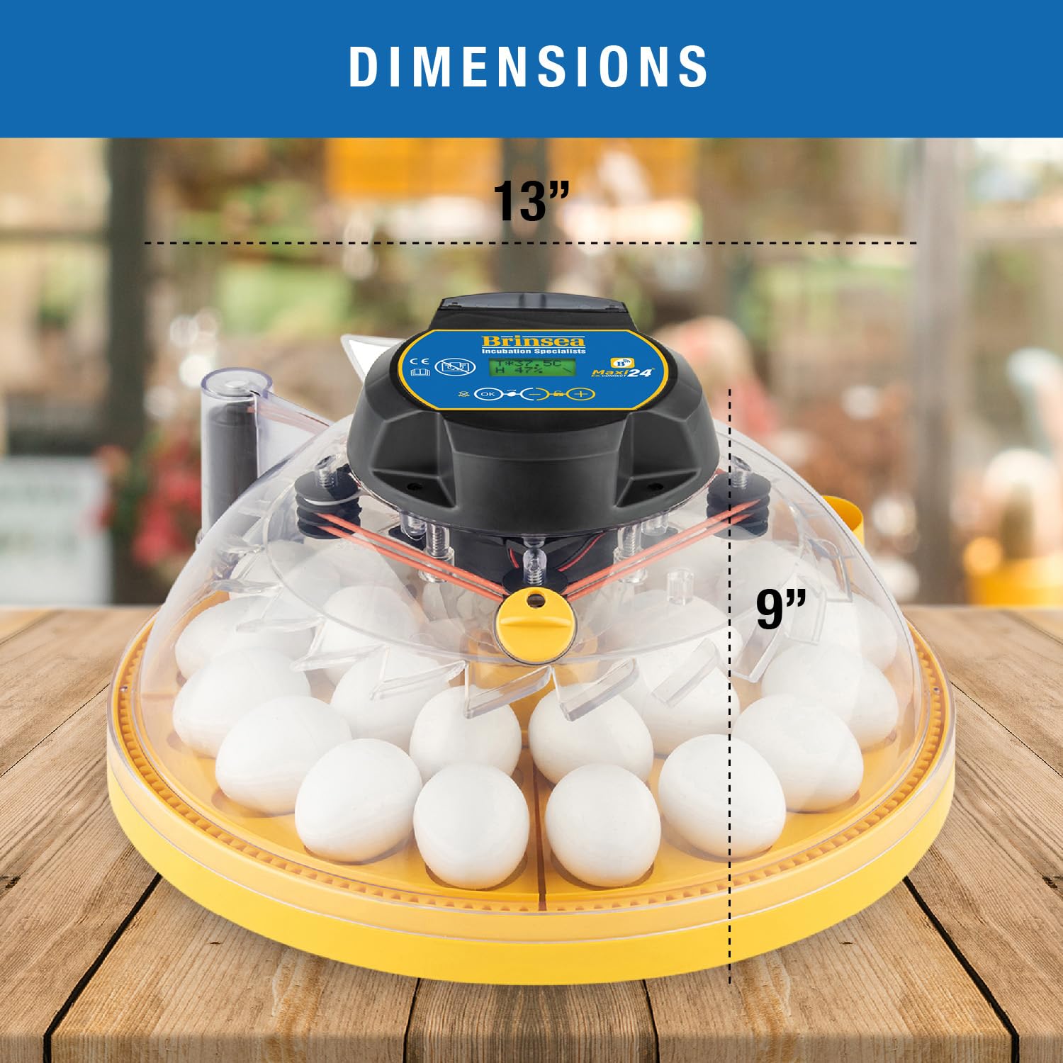 Brinsea Maxi 24 Ex Connect - Incubatrice per Uova controllata da App, con Controllo Automatico dell'umidità e Rotazione delle Uova, per cova 24 Galline, Anatre, Altre Uova, comandi digitali di
