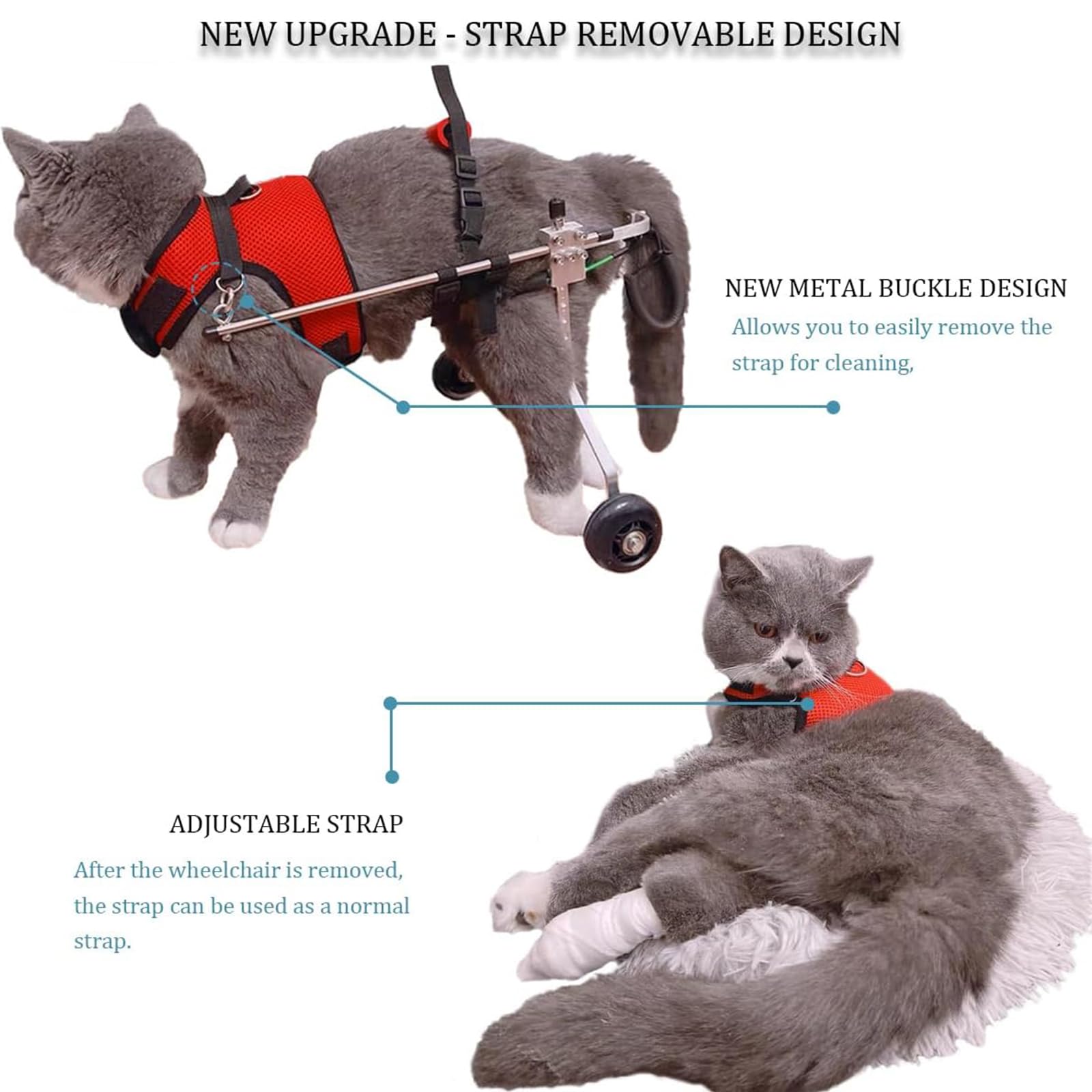 Sedia A Rotelle per Gatti per Zampe Posteriori, Sedia A Rotelle Leggera A 2 Ruote per Gatti per Allenamento Riabilitativo Zampe Posteriori Disabili Che Camminano,S