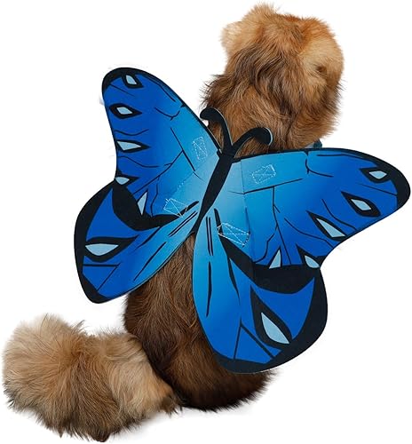 Miniatura 2 de Disfraz de mariposa para perro y gato, disfraz de alas de mariposa para perros pequeños, medianos y grandes, disfraz de perro para Halloween