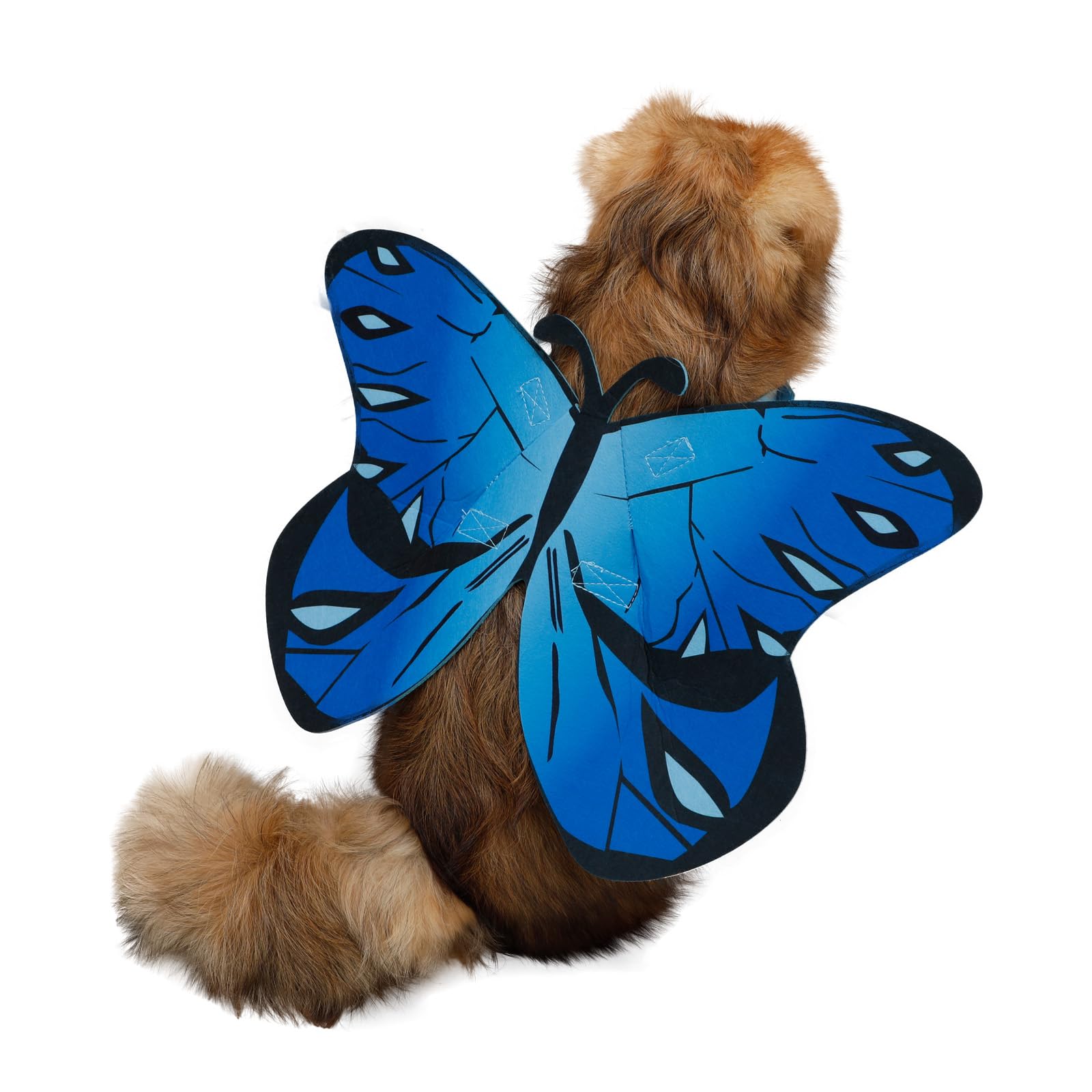 Butterfly Costume for Dog Cat,Butterfly Wings Costume for Small Medium Large Dogs Cats,Dog Costume for Halloween