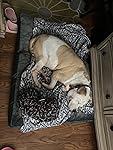 Review Image by Dog mom Dog mom