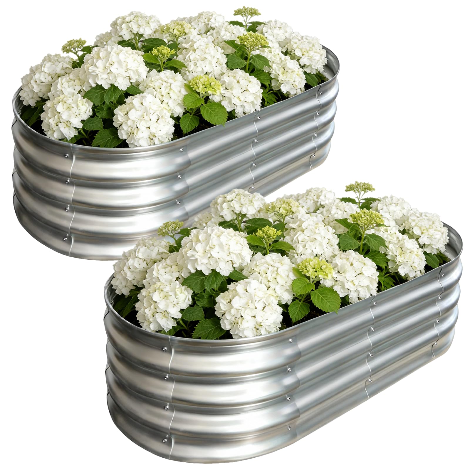 Galvanized Raised Garden Bed Outdoor, Large Raised Bed for Gardening, 2Pcs 4x2x1ft Oval Metal Planter Box for Vegetables, Fruits, Flowers, Silver