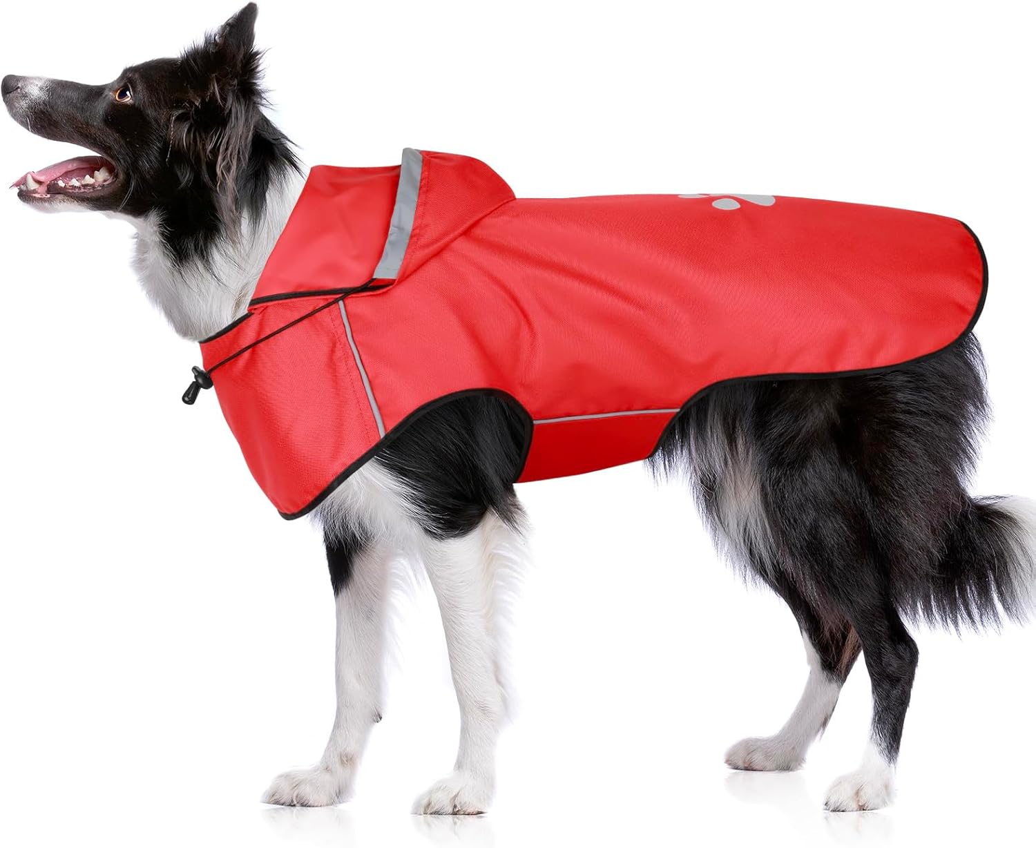 Pršiplášť pre psov BiPawTi pre stredne veľké plemená