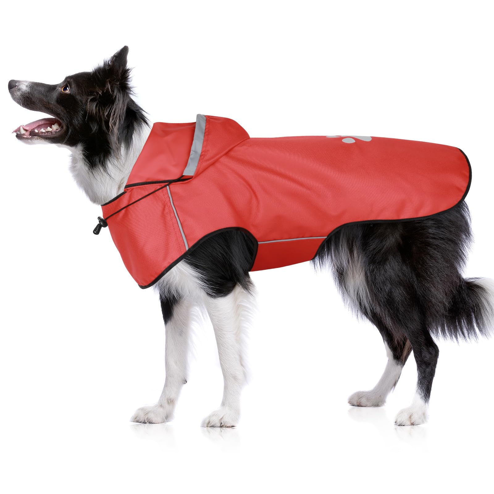 Veste de pluie pour chien de taille moyenne imperméable et réglable